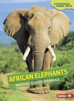 Bertrand.pt - African Elephants