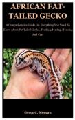 African Fat-Tailed Gecko