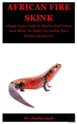 Bertrand.pt - African Fire Skink