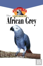 African Grey
