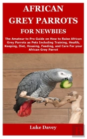 African Grey Parrots For Newbies
