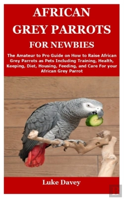 Bertrand.pt - African Grey Parrots For Newbies