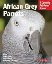 African Grey Parrots