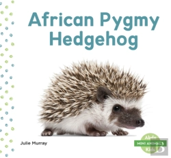 Bertrand.pt - African Pygmy Hedgehog