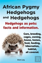 African Pygmy Hedgehogs And Hedgehogs. Hedgehogs As Pets