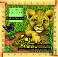 African Savanna