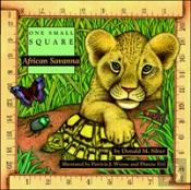 African Savanna