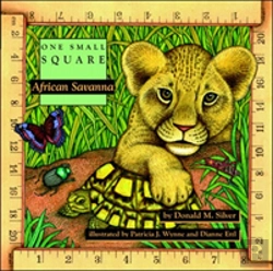 Bertrand.pt - African Savanna