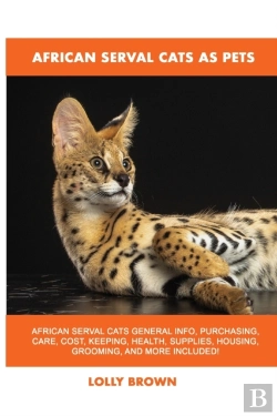 Bertrand.pt - African Serval Cats As Pets