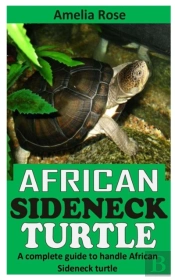 African Sideneck Turtle