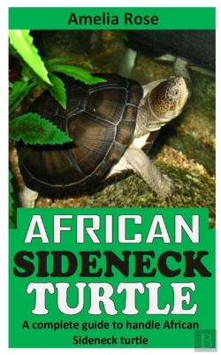 Bertrand.pt - African Sideneck Turtle