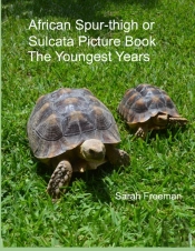 African Spur-Thigh Or Sulcata Picture Book - The Youngest Years