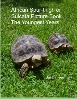 Bertrand.pt - African Spur-Thigh Or Sulcata Picture Book - The Youngest Years