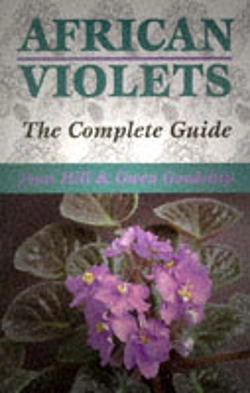 Bertrand.pt - African Violets