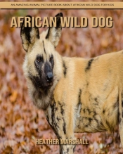 African Wild Dog