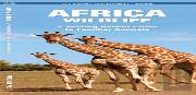 African Wildlife