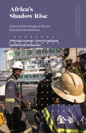 Africa'S Shadow Rise