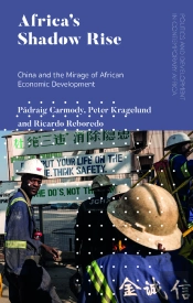 Africa'S Shadow Rise