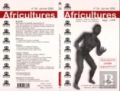 Africultures N.24 ; Que Peut La Poesie Aujourd'Hui
