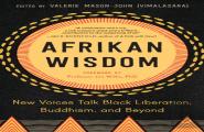 Afrikan Wisdom
