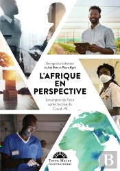 Afrique En Perspective