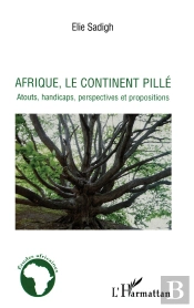 Afrique, Le Continent Pillé ; Atouts, Handicaps, Perspectives Et Propositions