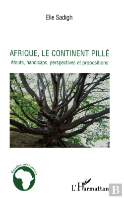 Bertrand.pt - Afrique, Le Continent Pillé ; Atouts, Handicaps, Perspectives Et Propositions
