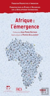 Afrique, L'Emergence