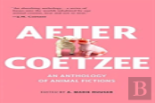 After Coetzee
