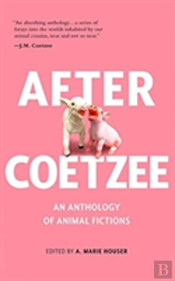 Bertrand.pt - After Coetzee