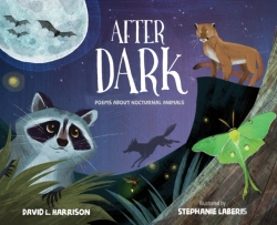 Bertrand.pt - After Dark