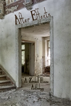 Bertrand.pt - After Effects: A Zimbell House Anthology