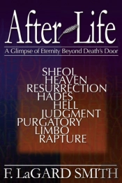 After Life: A Glimpse Of Eternity Beyond