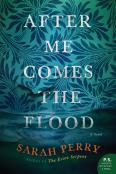 After Me Comes The Flood