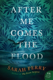 After Me Comes The Flood