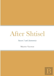 After Shtisel