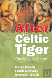 After The Celtic Tiger