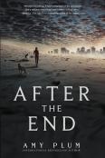 After The End