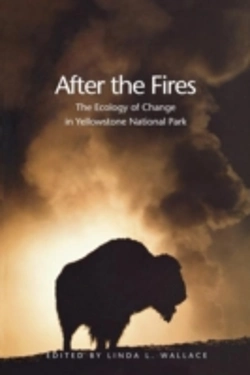 Bertrand.pt - After The Fires