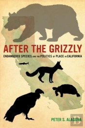 After The Grizzly