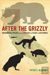 After The Grizzly