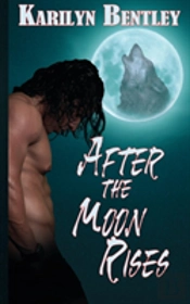 After The Moon Rises