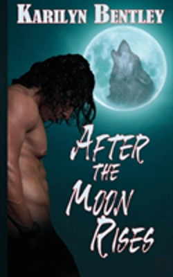Bertrand.pt - After The Moon Rises