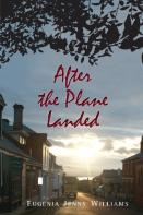 After The Plane Landed