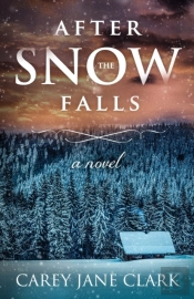 After The Snow Falls