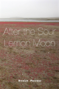 After The Sour Lemon Moon