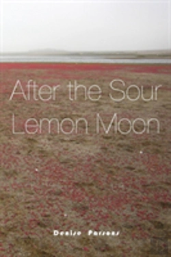 Bertrand.pt - After The Sour Lemon Moon
