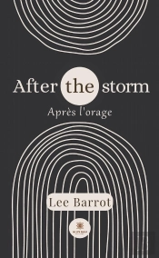 After The Stormapres Orage