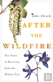 After The Wildfire