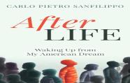 Afterlife